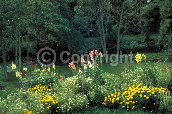 Red blooms; Orange blooms; Yellow blooms; Blue blooms; Purple blooms; White blooms; Pink blooms