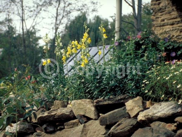 Red blooms; Orange blooms; Yellow blooms; Blue blooms; Purple blooms; White blooms; Pink blooms