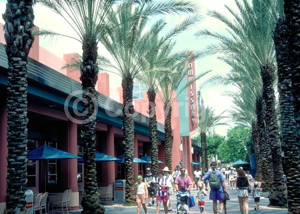 White blooms; Evergreen