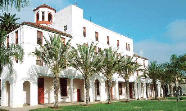 White blooms; Evergreen