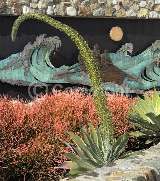 White blooms; Evergreen; North American Native