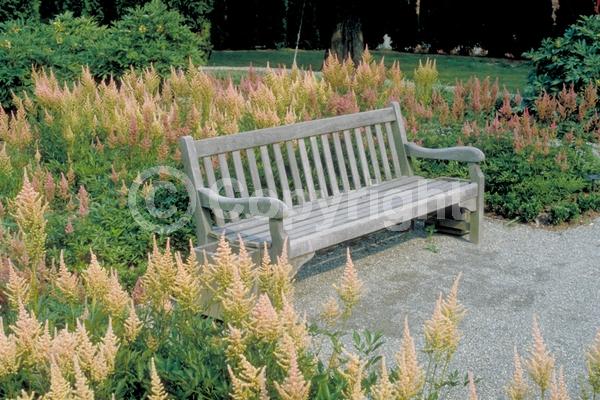 Red blooms; White blooms; Pink blooms; Deciduous; Broadleaf