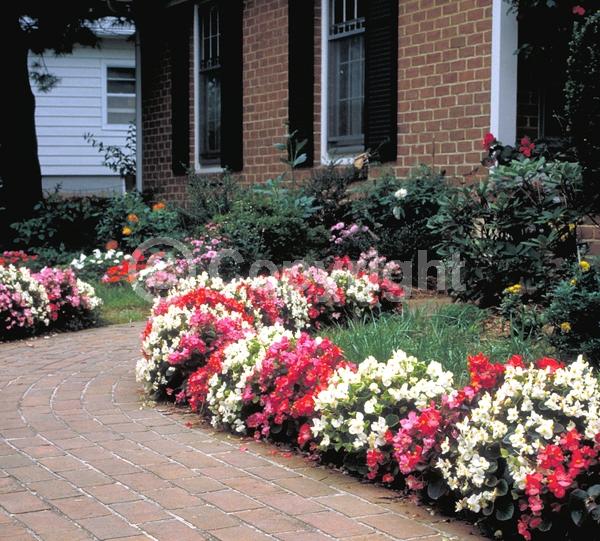 Red blooms; White blooms; Pink blooms; Evergreen; Broadleaf