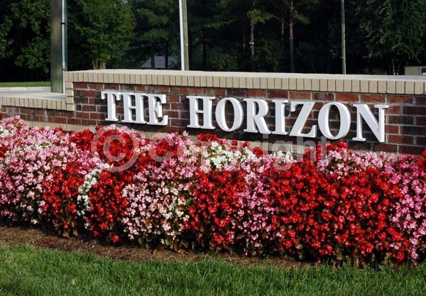 Red blooms; White blooms; Pink blooms; Evergreen; Broadleaf