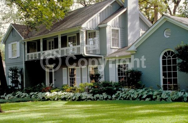 White blooms; Deciduous; Broadleaf