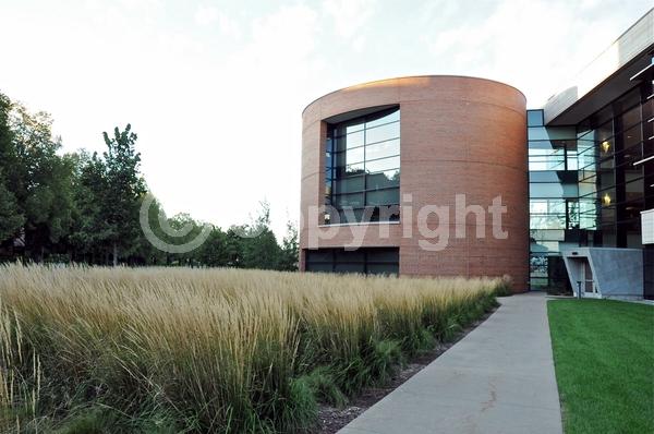 Yellow blooms; Purple blooms; Deciduous; Broadleaf