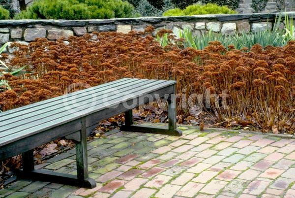 Red blooms; Pink blooms; Rust or bronze blooms; Deciduous