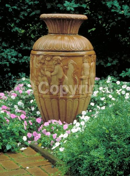 Red blooms; Orange blooms; White blooms; Pink blooms; Evergreen; Needles or needle-like leaf