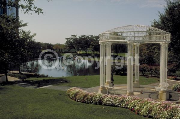 Red blooms; Orange blooms; White blooms; Pink blooms; Evergreen; Needles or needle-like leaf