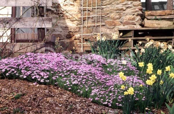 Blue blooms; White blooms; Pink blooms; Lavender blooms; Evergreen; Deciduous; North American Native