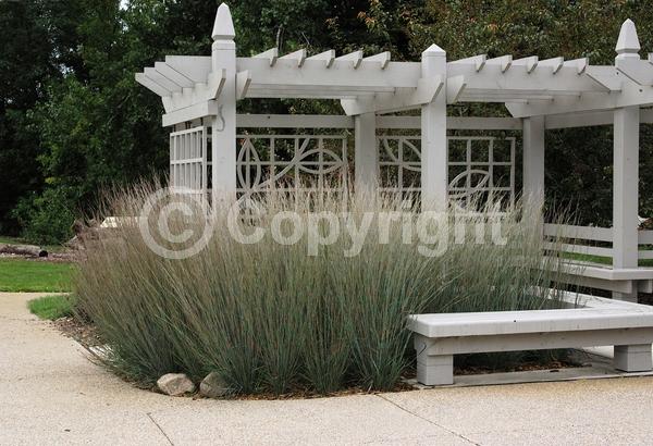 North American Native