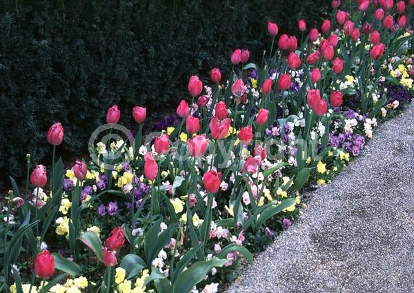 Red blooms; Orange blooms; Yellow blooms; Purple blooms; White blooms; Green blooms; Pink blooms; Deciduous; Broadleaf