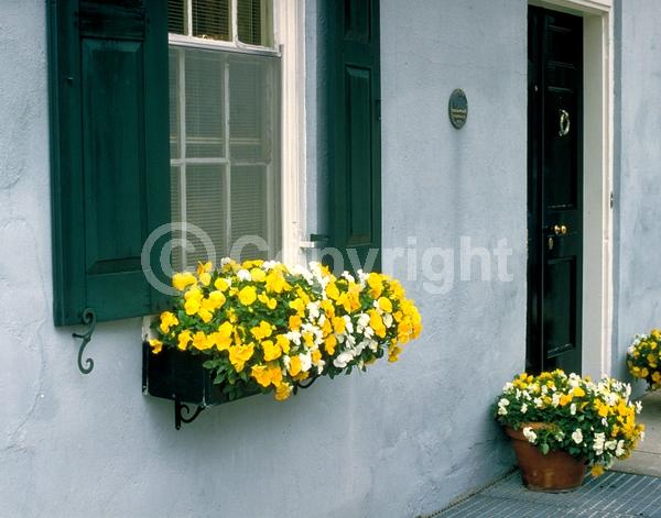 Red blooms; Orange blooms; Yellow blooms; Blue blooms; Purple blooms; White blooms; Pink blooms; Evergreen