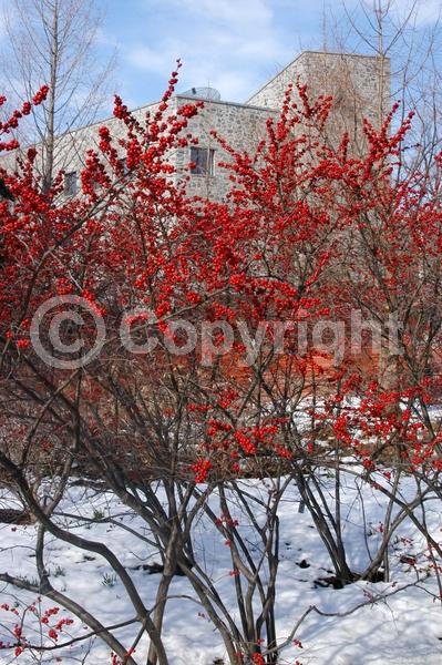 White blooms; Deciduous; North American Native
