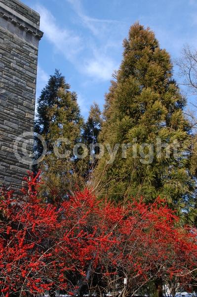White blooms; Deciduous; North American Native
