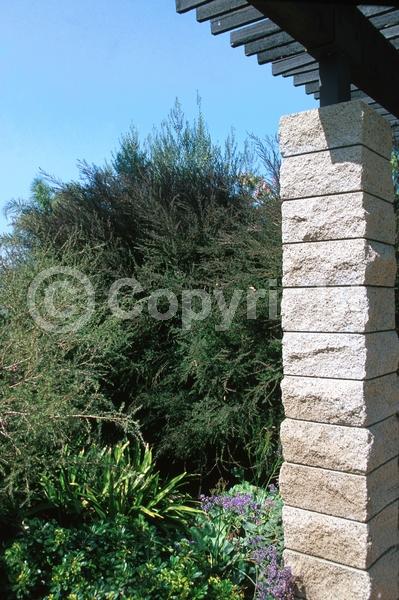 Red blooms; Pink blooms; Evergreen