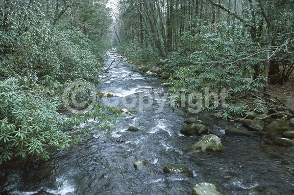 Orange blooms; Yellow blooms; Purple blooms; White blooms; Pink blooms; Evergreen; Broadleaf; North American Native