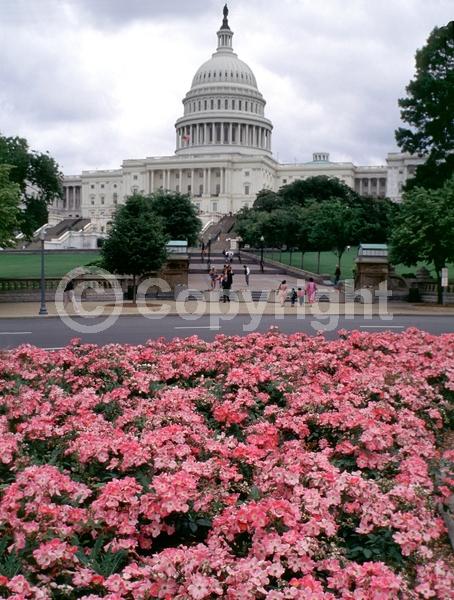 Red blooms; Orange blooms; Yellow blooms; Purple blooms; White blooms; Pink blooms; Deciduous; Broadleaf