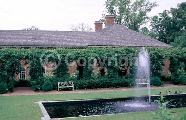 Blue blooms; Purple blooms; White blooms; Lavender blooms; Deciduous; Broadleaf
