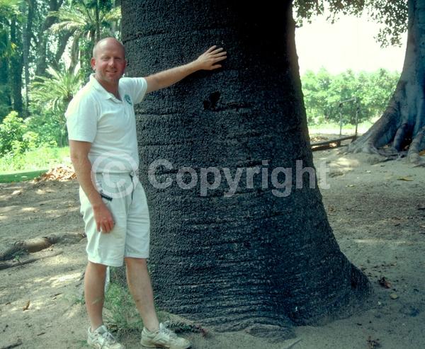 Unknown blooms; Evergreen; Broadleaf