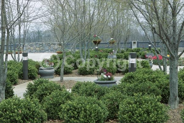Orange blooms; Yellow blooms; Deciduous; Broadleaf; North American Native