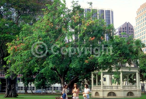 Yellow blooms; Deciduous; Broadleaf