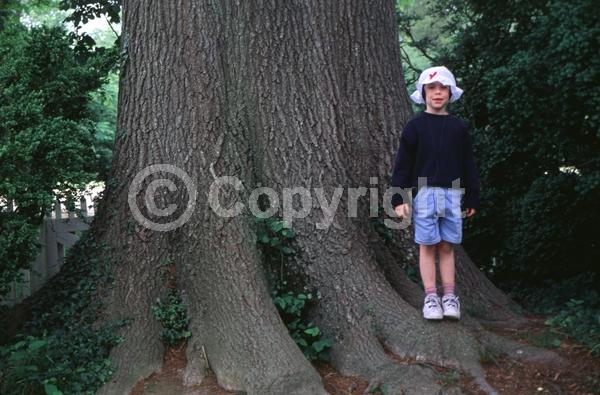 White blooms; Deciduous; Broadleaf; North American Native