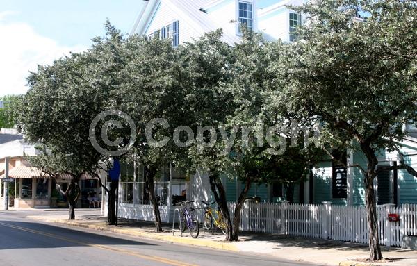Purple blooms; White blooms; Evergreen; Needles or needle-like leaf; North American Native