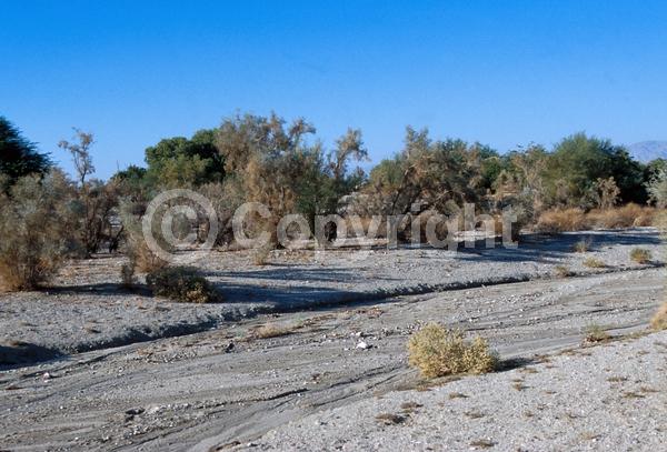 Purple blooms; Evergreen; North American Native