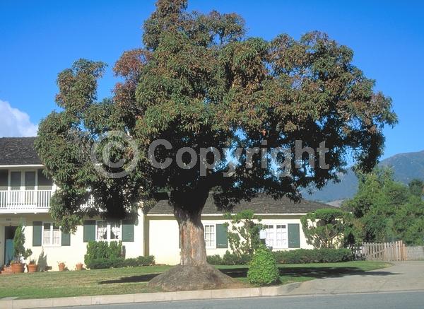 Red blooms; Pink blooms; Evergreen; Broadleaf
