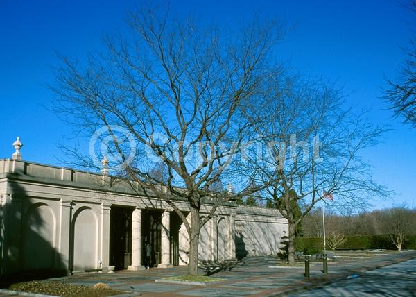 Yellow blooms; Deciduous; North American Native