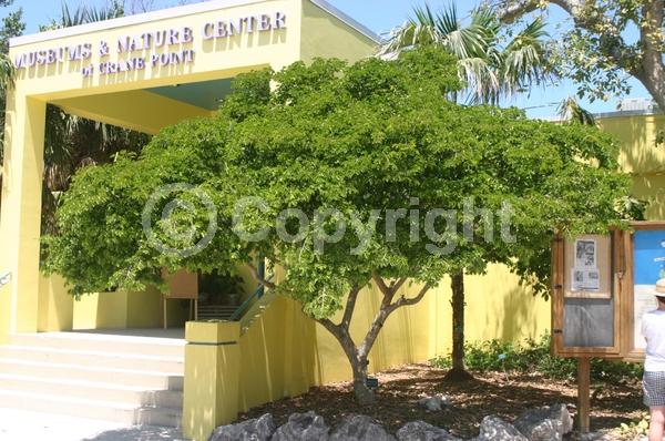 Blue blooms; Evergreen; Needles or needle-like leaf; North American Native