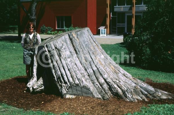 Yellow blooms; Green blooms; Evergreen; North American Native