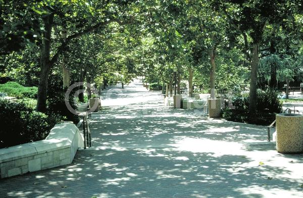 Red blooms; Deciduous; Broadleaf