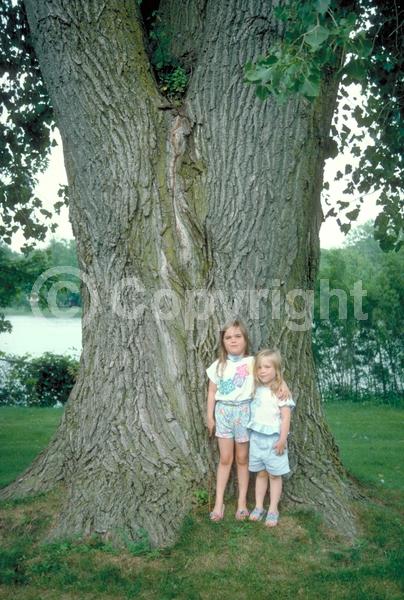 Red blooms; Yellow blooms; Deciduous; Broadleaf; North American Native