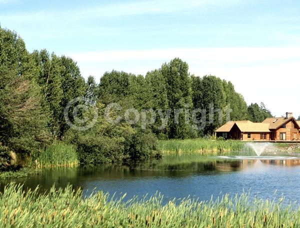 Red blooms; Deciduous; Broadleaf