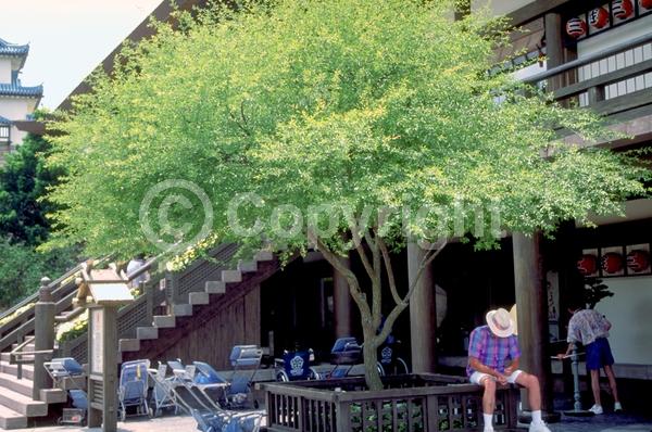 White blooms; Pink blooms; Deciduous; Broadleaf; North American Native