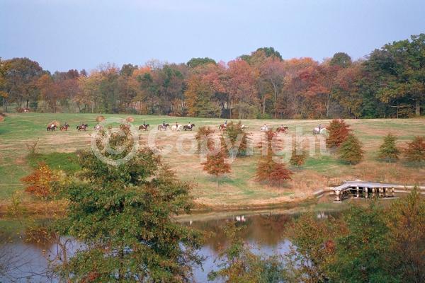 Brown blooms; Deciduous; Broadleaf; North American Native