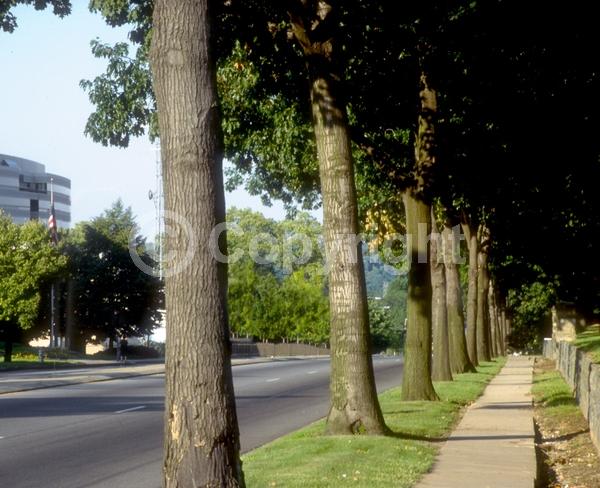 Brown blooms; Deciduous; Broadleaf; North American Native