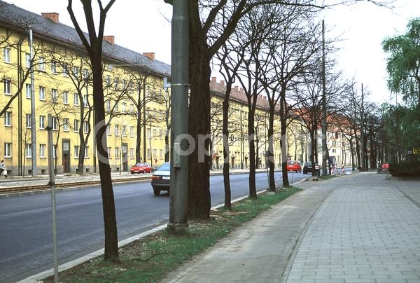 White blooms; Deciduous; Broadleaf; North American Native