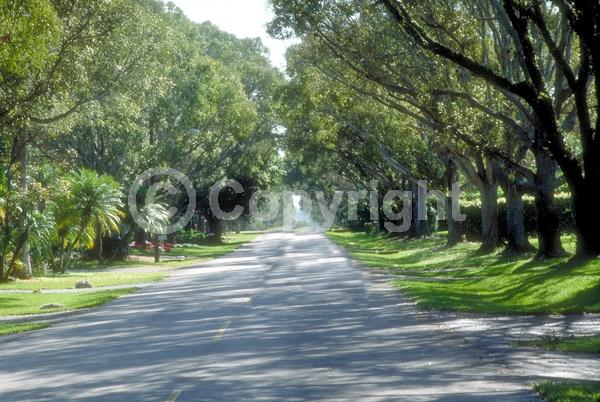 Green blooms; Evergreen; Semi-evergreen; North American Native