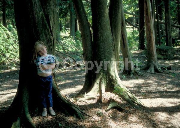 Yellow blooms; Evergreen; North American Native