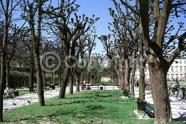 Yellow blooms; Deciduous; Broadleaf