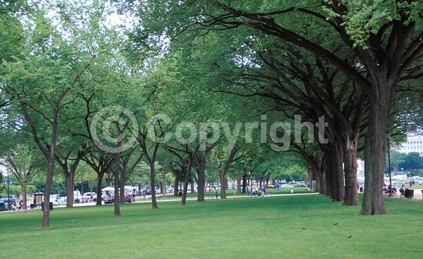 Green blooms; Deciduous; Broadleaf; North American Native