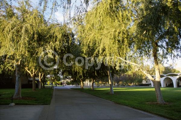 Green blooms; Deciduous; Broadleaf