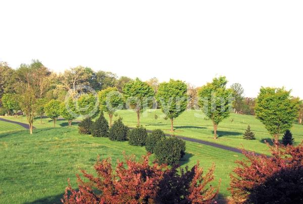 Unknown blooms; Deciduous; Broadleaf