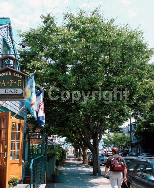 Unknown blooms; Deciduous; Broadleaf